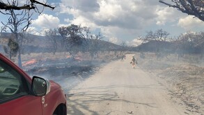 Emiten Alerta atmosférica en Guadalajara por incendio en el Bosque de la Primavera