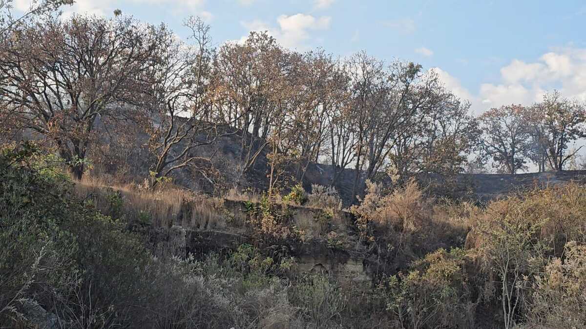 Panorámica del área afectada por el incendio en 'La Primavera'