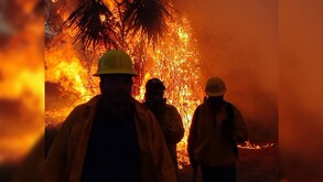 Elementos de Protección Civil y Bomberos de Michoacán caminando delante de ramas y plantas envueltas en llamas durante inciendio forestal