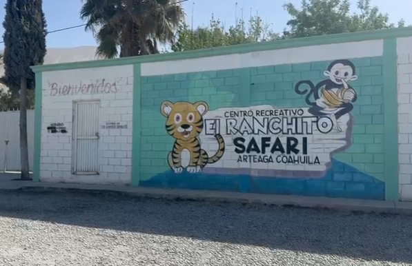 Los animales que hay dentro del Ranchito Safari sí tienen permiso, la operatividad en el lugar no.
