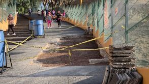 Una plaga de ardillas causa múltiples daños en el municipio de Cholula.