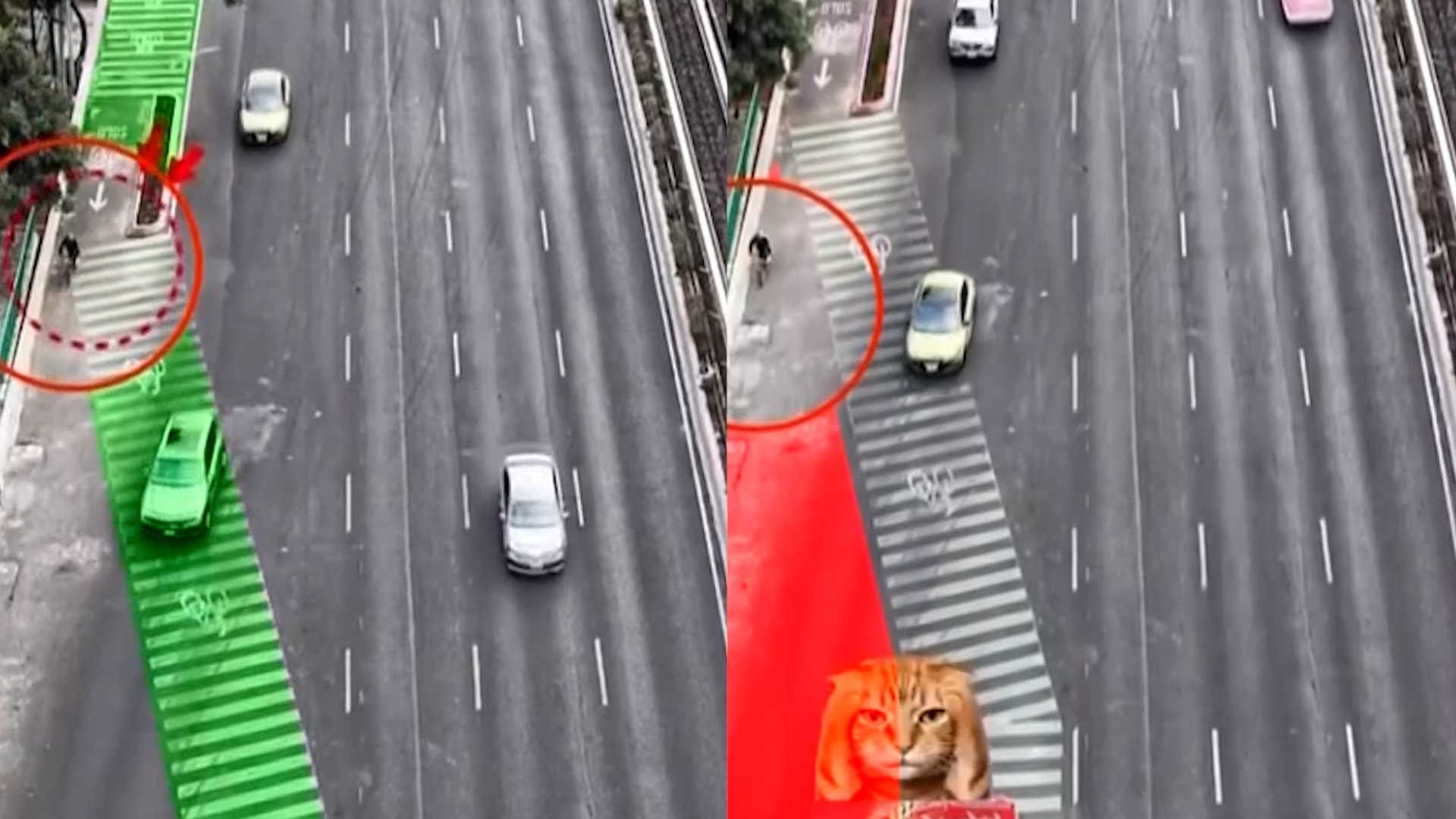 Usuarios denuncian en redes sociales el peligroso diseño de la ciclovía en Tlalpan y Viaducto. El trazo obliga a cruces diagonales entre autos a alta velocidad.