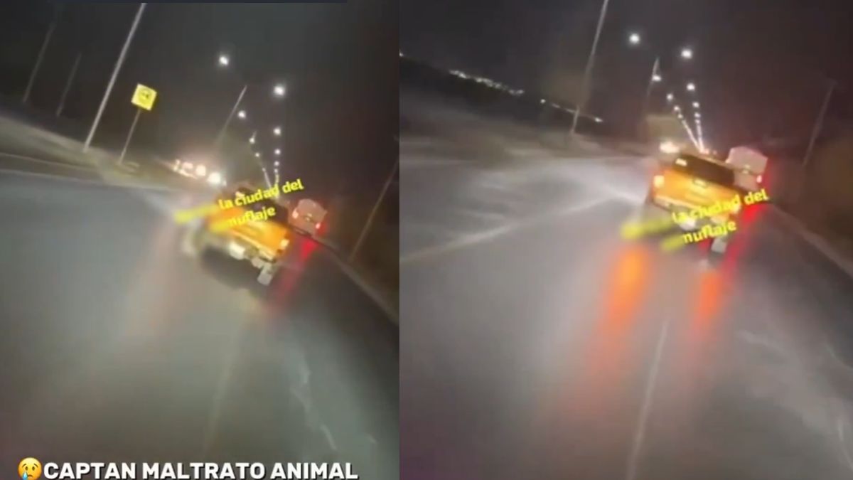 Perrito arrastrado en camioneta en García, Nuevo León