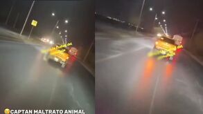 Perrito arrastrado en camioneta en García, Nuevo León