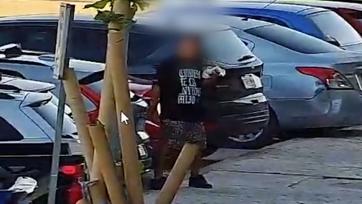 Cámaras de seguridad del C2.