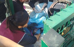 Mujer da a luz en plena banqueta sobre Periférico Sur en Tlaquepaque.