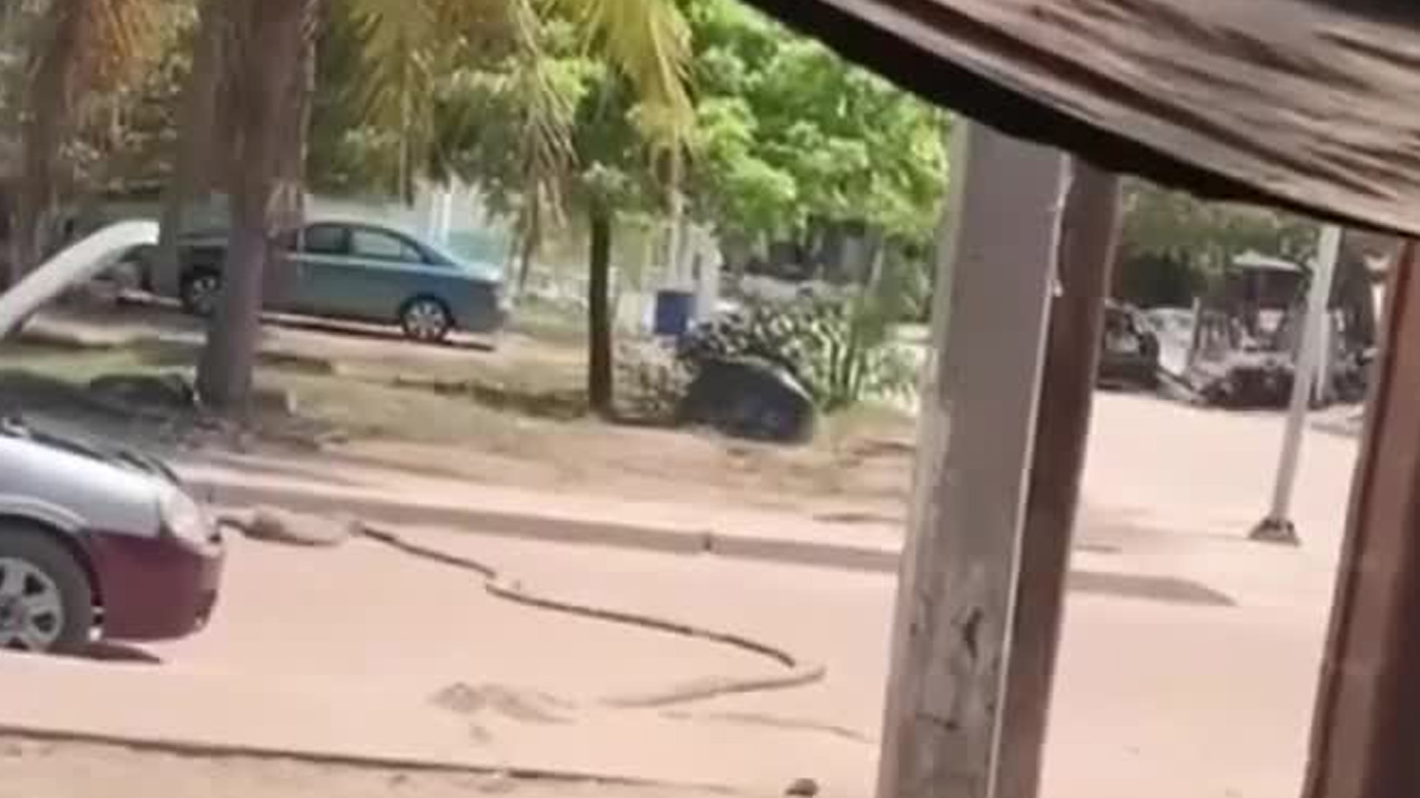 Un policía municipal de Mexicali fue atacado a balazos al llegar a su domicilio en la colonia División del Norte.