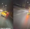 Perrito arrastrado en camioneta en García, Nuevo León