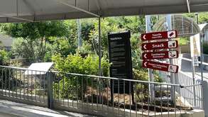 Negocios locales registran perdida de dinero debido a la disminución de afluencia por las falta del teleférico en las Grutas de García