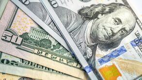 Dólares estadunidenses