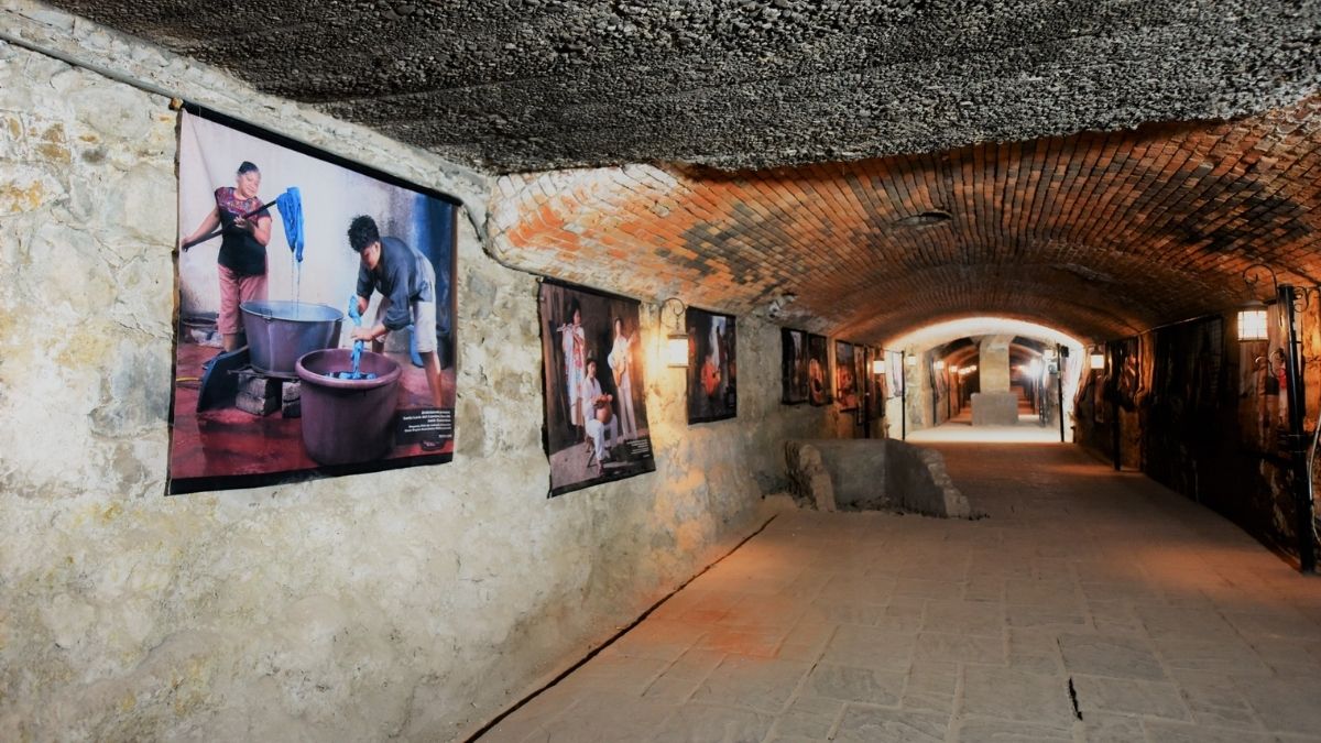 El Instituto Municipal de Cultura y Educación (IMCE) invita a las familias laguneras y visitantes a disfrutar de los museos de la ciudad