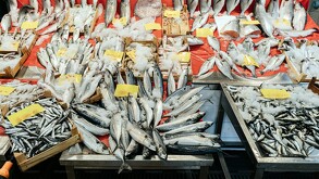 Semana Santa llega año con año, con ella se incrementa el consumo de pescado en nuestro país, aquí te damos algunas recomendaciones antes de comparlo.