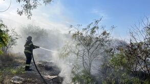 Incendio provocado en Lerdo
