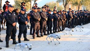 Operativo Irak vs Bolivia