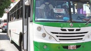 Camión en color verde y blanco de ruta Dalias Directo en Torreón