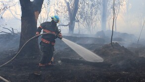 Un incendio forestal en el bosque El Centinela en Zapopan dejó afectaciones en al menos tres hectareas. Bomberos lograron apagar el fuego