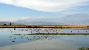 El río Santiago pasa afuera del Área Metropolitana de Guadalajara