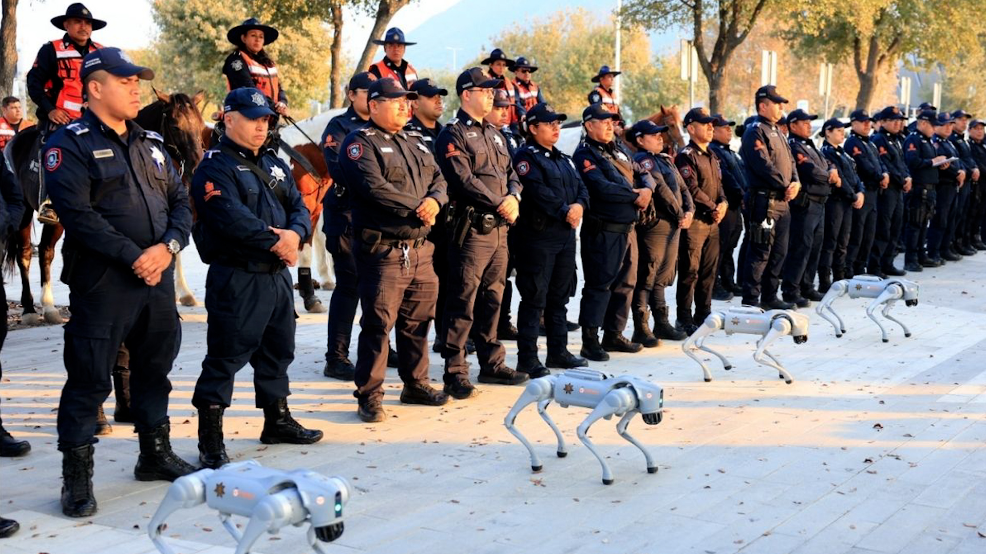 Programa conducido por Luis Carlos Ortiz, Erik Rocha y Ady Cabriales, martes 31 de marzo 2026.