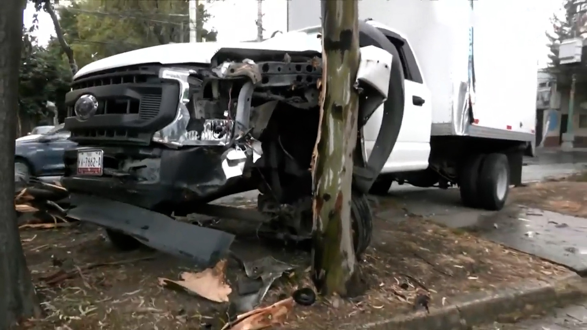 Camión de carga choca y derriba árbol en Canal de San Juan, Iztacalco. El conductor fue detenido y hay afectación vial con dirección a Iztapalapa.