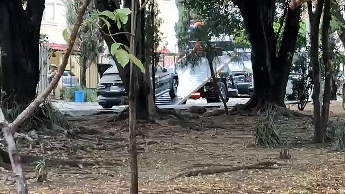 Desmantelan fábrica de dulces de marihuana en Zapopan