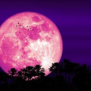 La Luna Rosa está a la vuelta de la esquina y aquí te diremos en qué estados podrás disfrutar de la increíble vista del satélite natural en el cielo nocturno.