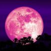 La Luna Rosa está a la vuelta de la esquina y aquí te diremos en qué estados podrás disfrutar de la increíble vista del satélite natural en el cielo nocturno.