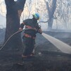 Un incendio forestal en el bosque El Centinela en Zapopan dejó afectaciones en al menos tres hectareas. Bomberos lograron apagar el fuego