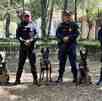 Los policías de la Secretaría de Seguridad Ciudadana posan con los cuatro nuevos elementos caninos de seguridad.