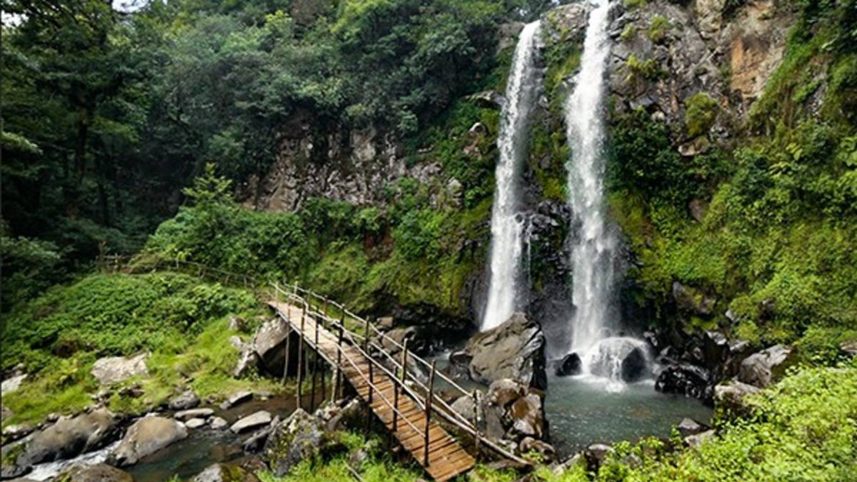 Lugar turístico llamado Honey entre las plantas y las montañas para vacacionar en Puebla