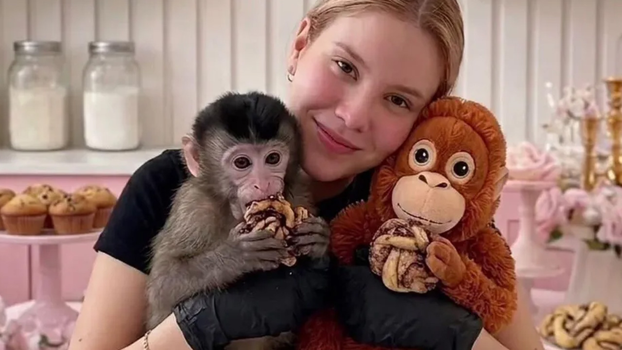 Autoridades confirmaron la localización con vida de Carmiña Miroslava, repostera de 29 años reportada como desaparecida en Culiacán.