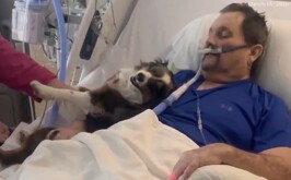 Hombre con enfermedad terminal despidiéndose de su perrito en una última reunión.