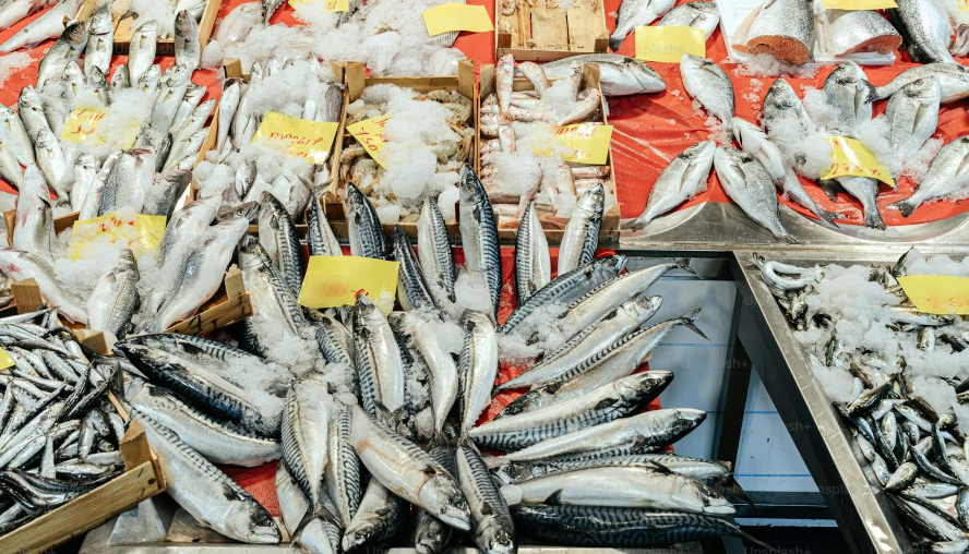 Comerciantes de mariscos en la CdMx reportan caída del 40% en sus ventas este 2026. La inflación y el cambio de tradiciones alejan a los clientes en Cuaresma.