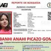Ficha de búsqueda de Debanhi Anahí Picazo Gómez