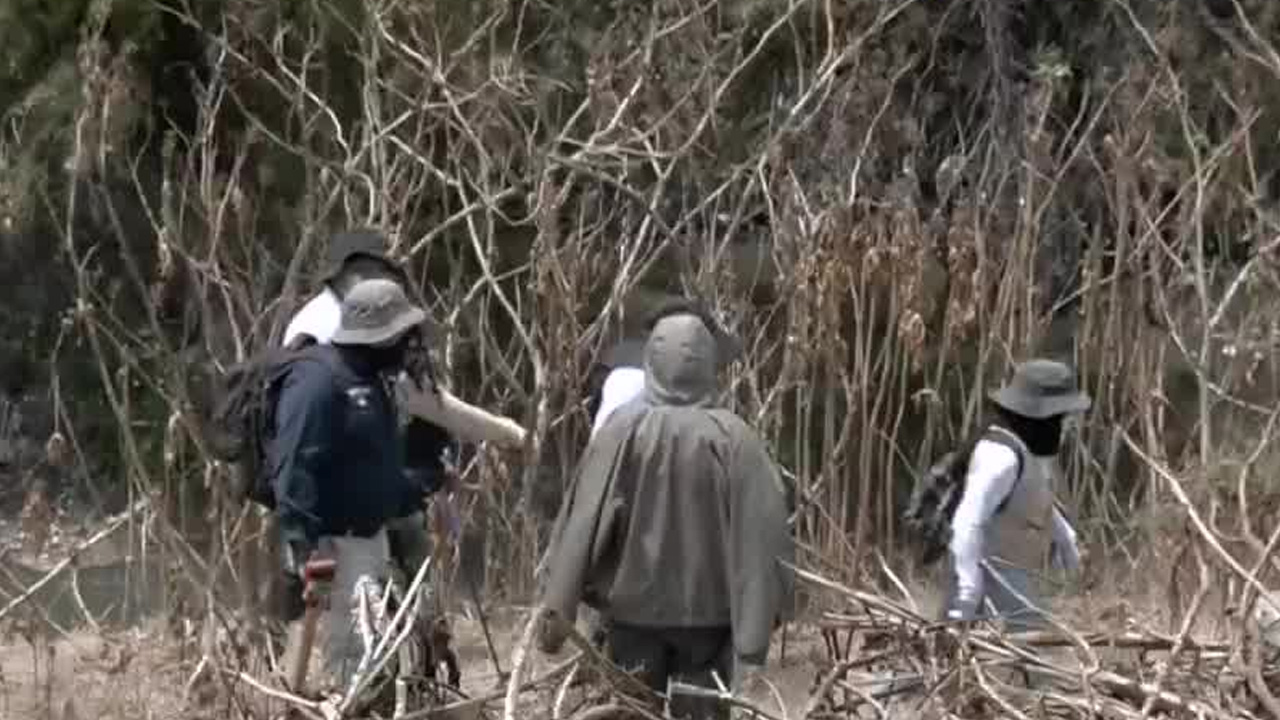 Un total de 23 credenciales de elector fueron halladas en un canal a cielo abierto en Tonanitla.