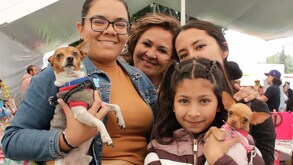 Mujeres cargando a sus perros chihuahuas en un evento