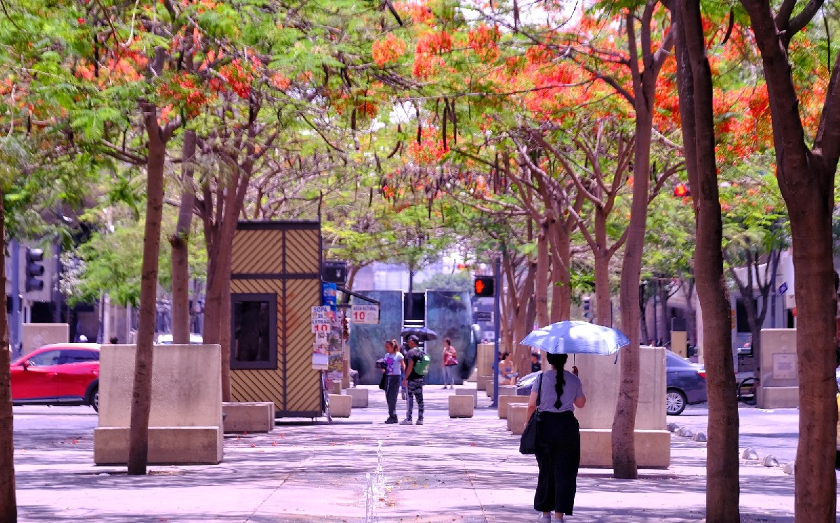 El uso de sombreros y lentes con filtro UV ayuda a reducir riesgos dermatológicos.