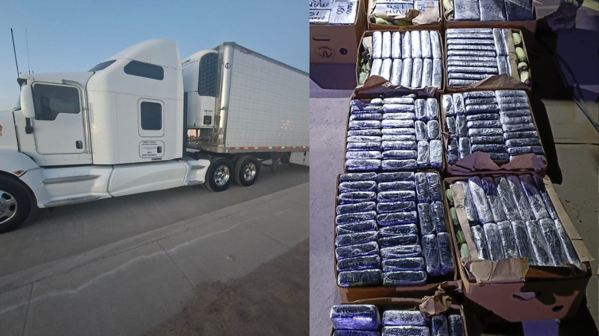 Guardia Nacional detectó con Rayos Gama mil 800 kg de cocaína