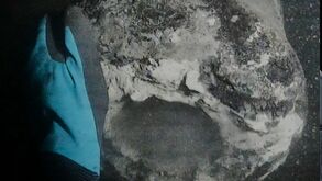 Hallazgo de los restos del Dannebroge