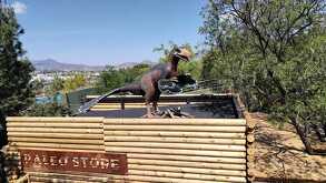 Figura de dinosaurio sobre una estructura de madera en el área Paleo Camp del Museo del Desierto, rodeada de vegetación y con vista a la ciudad.