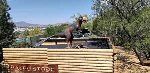 Figura de dinosaurio sobre una estructura de madera en el área Paleo Camp del Museo del Desierto, rodeada de vegetación y con vista a la ciudad.