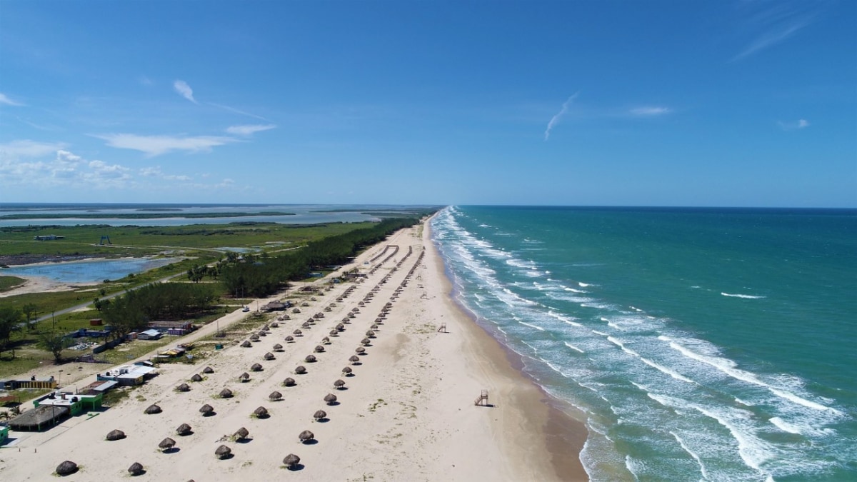 Vista aérea de una playa extensa con arena clara, mar azul y palapas alineadas a lo largo de la costa en Tamaulipas.