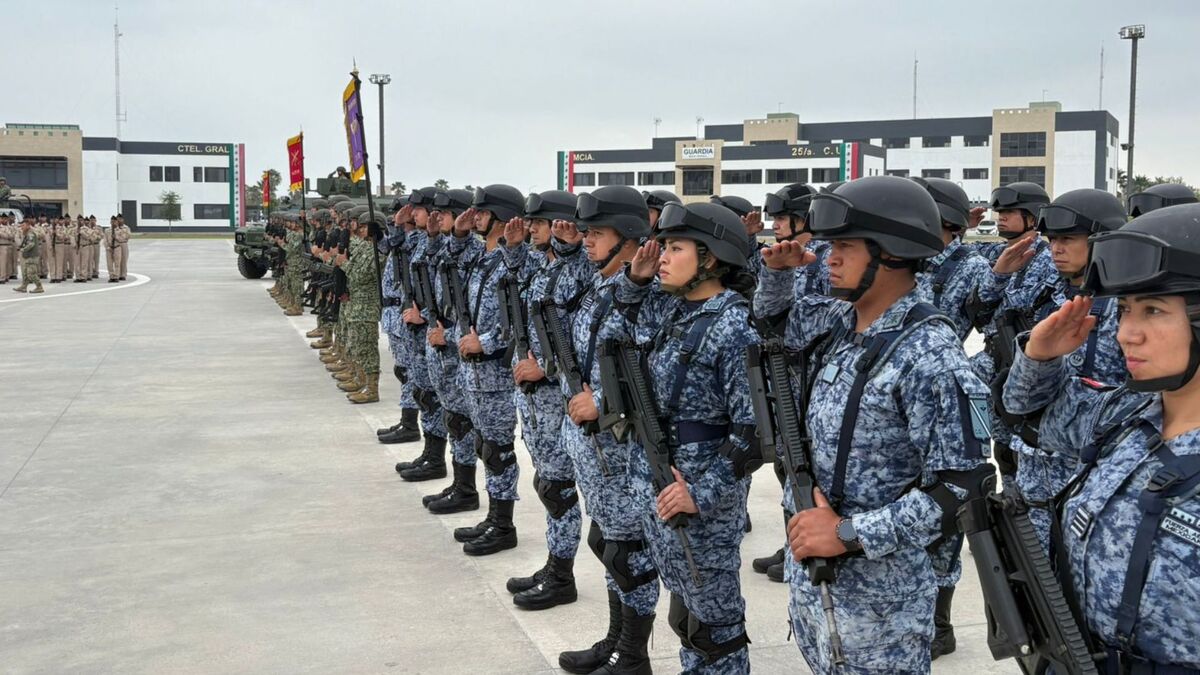 ceremonia de protesta de bandera, militar