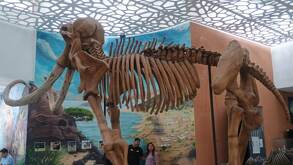 El Parque Ecológico Ehécatl fue testigo de los cientos de visitantes que acudieron a realizar distintas actividades en la Noche de Museos y Aventura Jurásica.