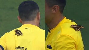 Mariposa sobre el arbitro del partido de Rayados vs San Luis