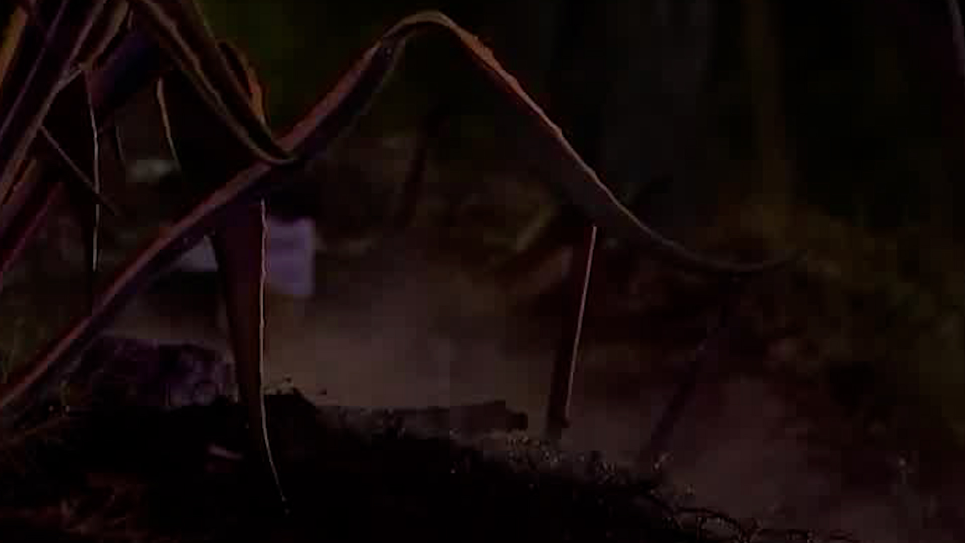 Programa conducido por Rodrigo Rico, Monserrat Contreras y Ricardo Solaback, domingo 05 de abril de 2026.