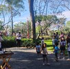 Niñas y niños disfrutan de actividades de cuentacuentos en el renovado Parque Revolución.