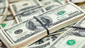Dólares estadunidenses.