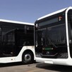 autobuses nuevos