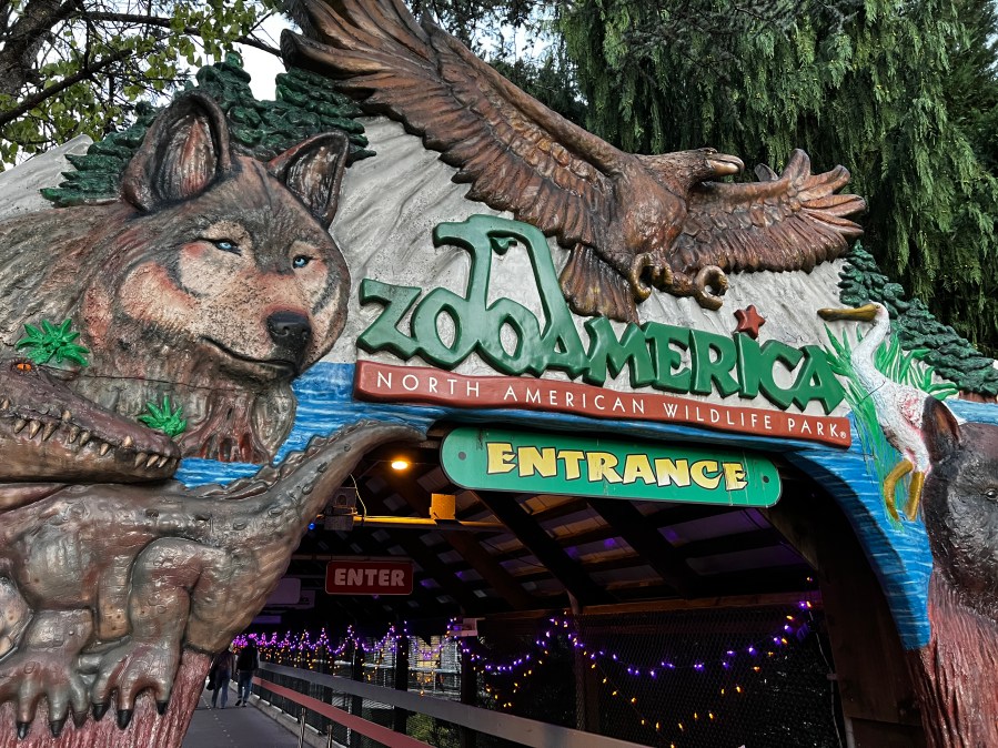Letrero de entrada del zoológico ZooAmerica con dibujos de distintos animales con luces y árboles alrededor