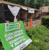 El parque Urdiñola en Saltillo reabre como espacio pet friendly con adopción responsable de perros rescatados.